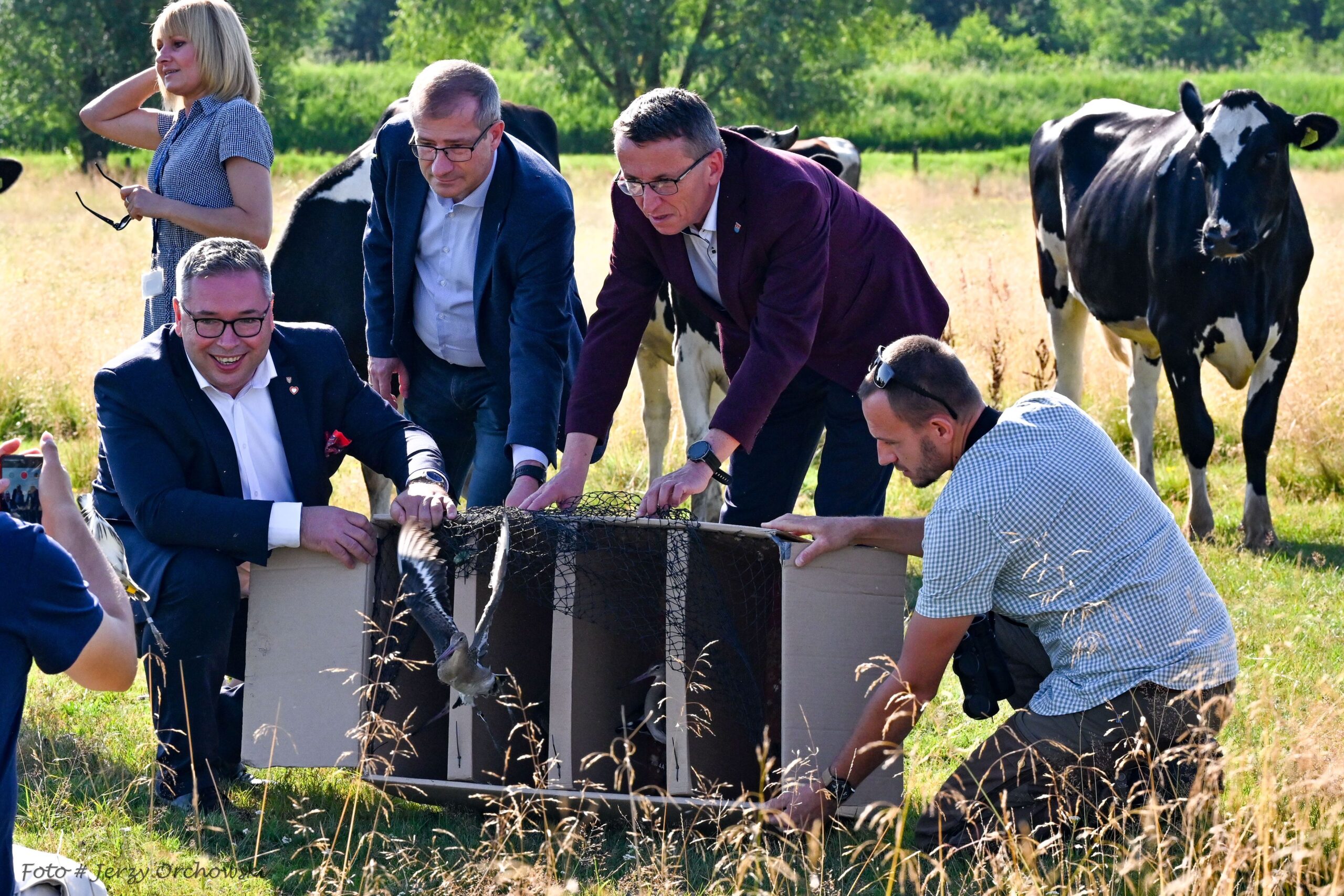 Kolejne Rycyki zasiliły populację Nadwarciańskiego Parku Krajobrazowego